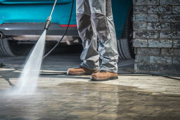 Best Boat and Dock Cleaning  in Rossville, IN