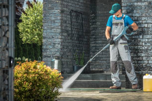 Best Soft Washing  in Rossville, IN