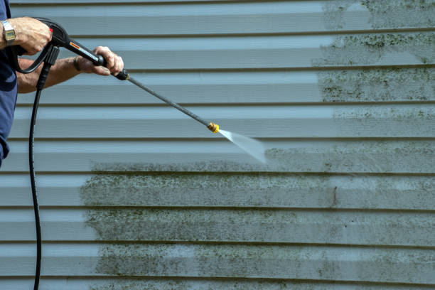Best Sidewalk and Walkway Cleaning  in Rossville, IN