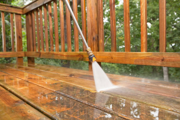 Best Fence Cleaning  in Rossville, IN